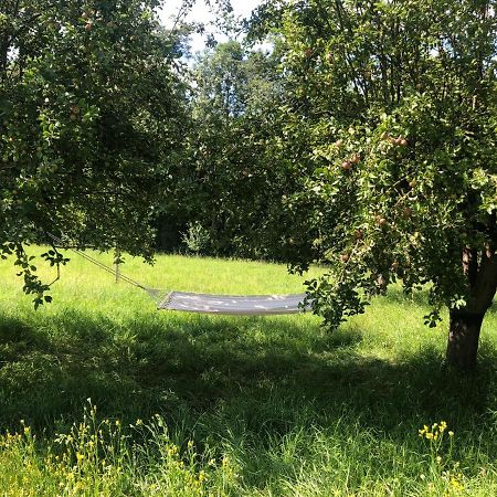 Limbach im Burgenland Sonnenhof 아파트 외부 사진