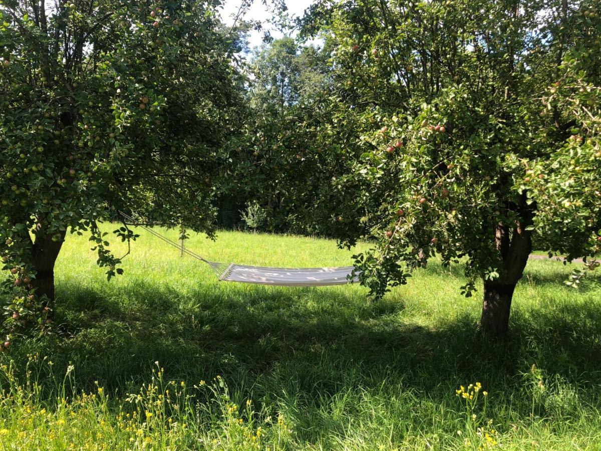 Limbach im Burgenland Sonnenhof 아파트 외부 사진