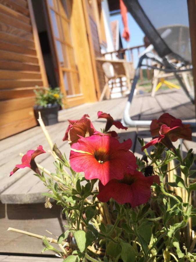 Limbach im Burgenland Sonnenhof 아파트 외부 사진