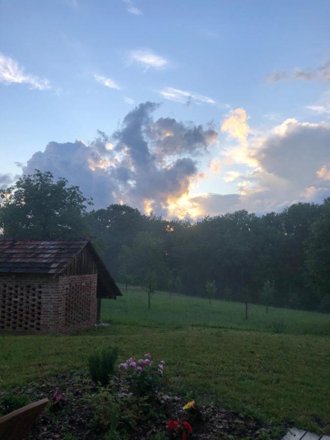 Limbach im Burgenland Sonnenhof 아파트 외부 사진