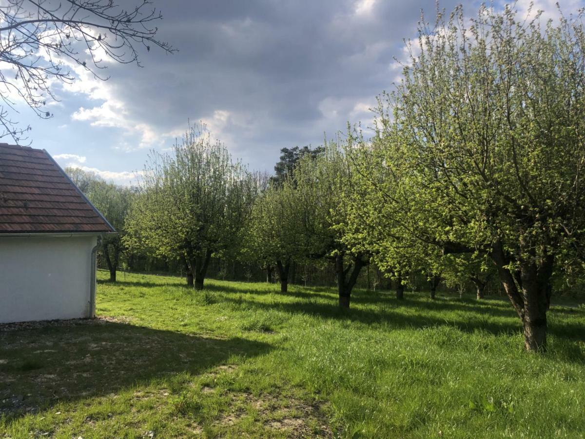 Limbach im Burgenland Sonnenhof 아파트 외부 사진