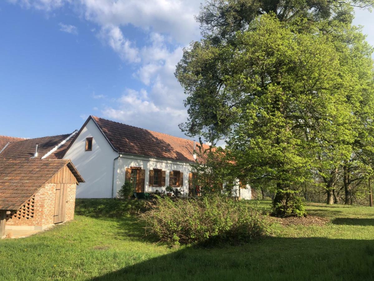 Limbach im Burgenland Sonnenhof 아파트 외부 사진