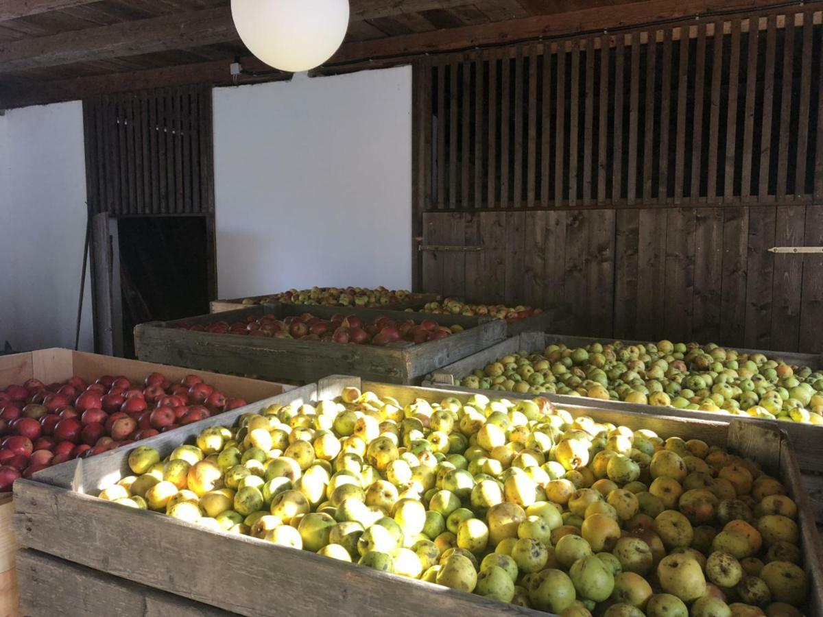 Limbach im Burgenland Sonnenhof 아파트 외부 사진