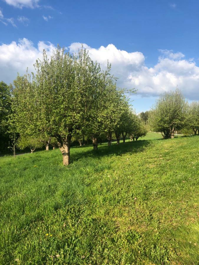 Limbach im Burgenland Sonnenhof 아파트 외부 사진