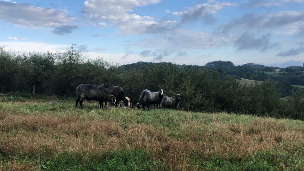 Limbach im Burgenland Sonnenhof 아파트 외부 사진