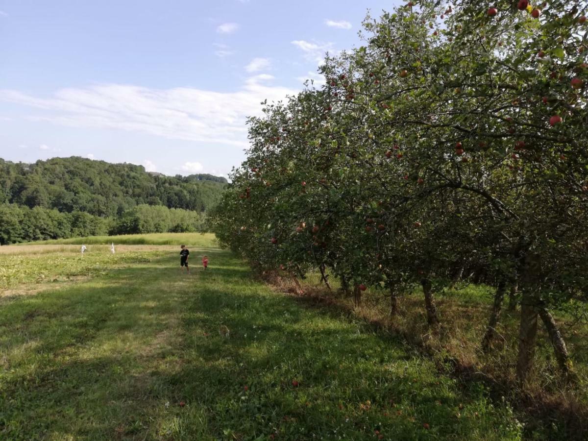 Limbach im Burgenland Sonnenhof 아파트 외부 사진