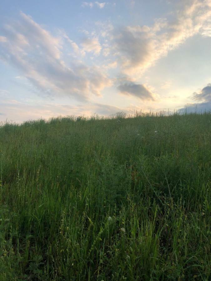 Limbach im Burgenland Sonnenhof 아파트 외부 사진