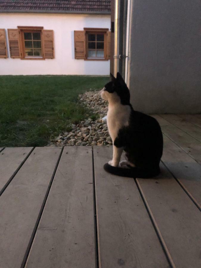 Limbach im Burgenland Sonnenhof 아파트 외부 사진
