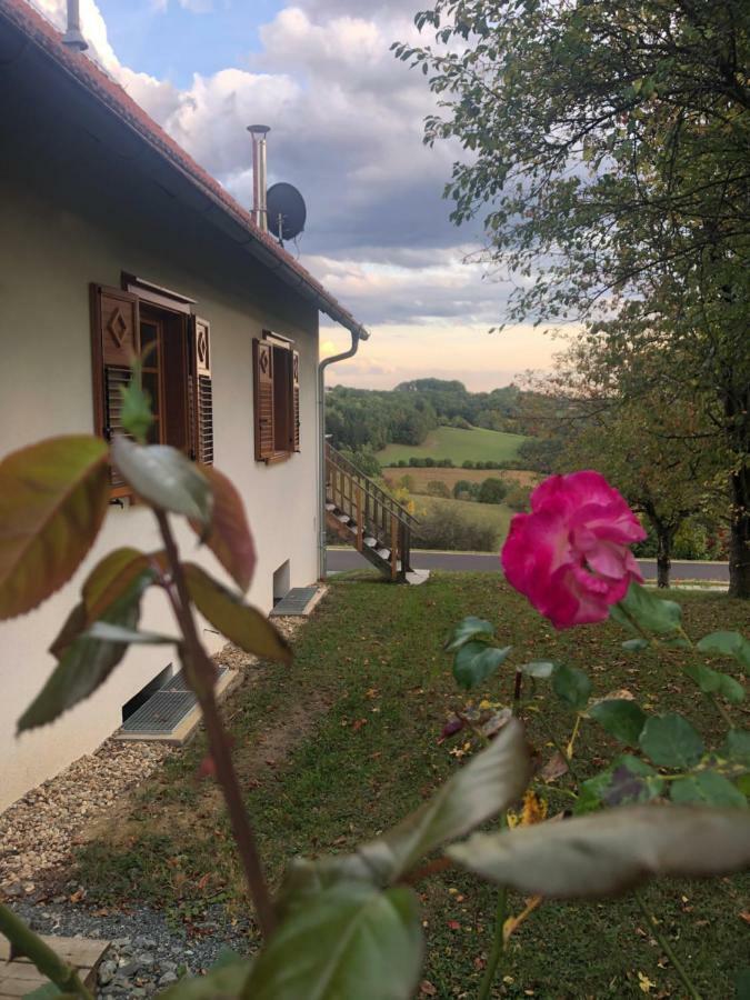 Limbach im Burgenland Sonnenhof 아파트 외부 사진